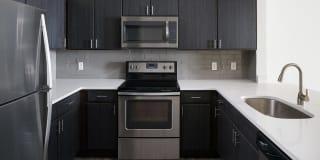 Windsor Riverfront Park Gallery 18