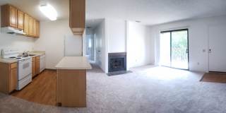 Hanover Place Gallery 5