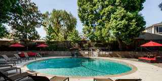 Palo Alto Place Gallery 6