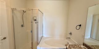 704 Peachy Canyon Circle Gallery 29