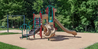 Walden Pond Gallery 12