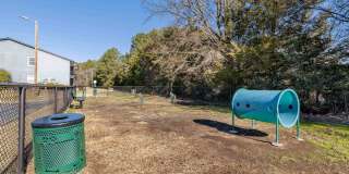 Triangle Park Apartments Gallery 28