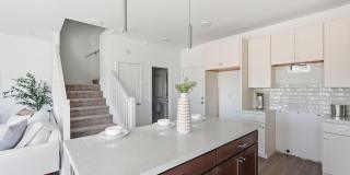 8137 E Brown Road Gallery 12