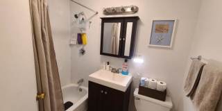 1423 Commonwealth Ave. Gallery 7