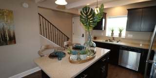 Ramblewood Apartments Gallery 50