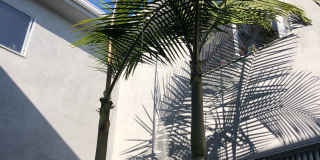 LUXURY LIVING AT AN AFFORDABLE PRICE LUXURY LIVING AT AN AFFORDABLE PRICE Gallery 1