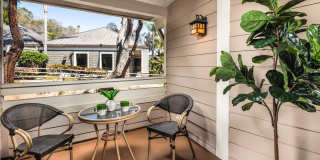 Artisan in Laguna Beach Gallery 21