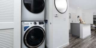 The Strand Gallery 67