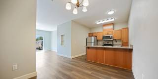 Webster Ridge Apartments Gallery 55