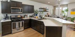Newer 3 Bedroom, 2.5 Bath Home with Community Pool & Park Gallery 8