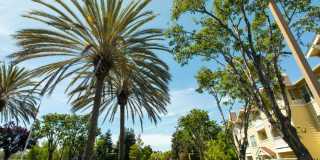 The Presidio Apartments Gallery 29