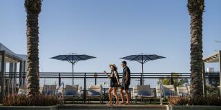 AVE Phoenix Terra Gallery 1