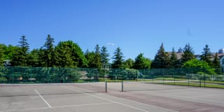 Brookwood Farms Gallery 19