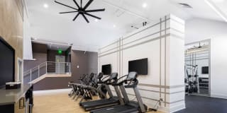 Highlands 32 Gallery 24