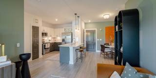 Brea Frisco Gallery 2