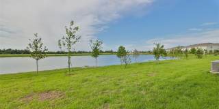 233 MANGROVE SHADE CIRCLE Gallery 4
