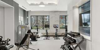 Omnia at Town Center Gallery 11