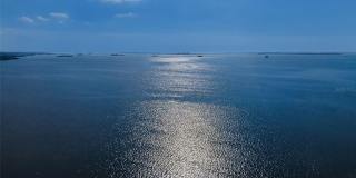 110 CARLYLE CIRCLE Gallery 77