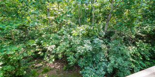 River View at Bexley Apartments Gallery 101