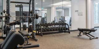 Muze At Met Gallery 4