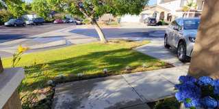 1279 W Vaquero Ct Gallery 17