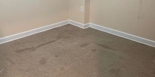 11905 OLD COLUMBIA PIKE #66 Gallery 33