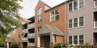 The Meadows Gallery 2