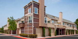 Riva Terra Apartments at Redwood Shores Gallery 21