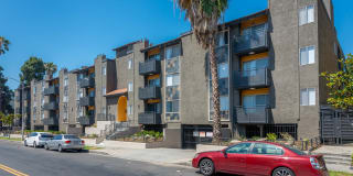 339 S. Ardmore Gallery 4