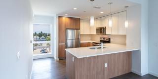 Bell Uptown District Bell Uptown District Gallery 9