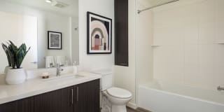 The Merian Gallery 101