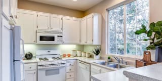 Sofi Westview Gallery 2