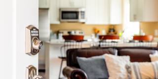 Paugus Woods Gallery 2