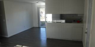 1145 Nadene Drive Gallery 2