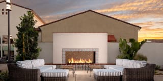 Harvest in Tracy Gallery 26