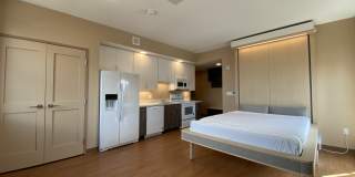 Red Oak at 83 Hanover Street Gallery 12