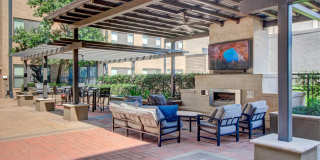 The Briscoe River Oaks Gallery 18