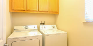 Beautiful and Spacious 3BR 2.5BA Single Family Home Gallery 16