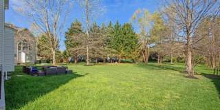 12902 CRICKMORE Trace Gallery 52