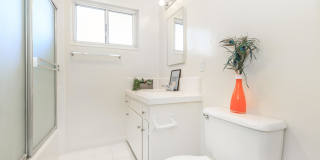 Sea Breeze Beach Apartments Sea Breeze Beach Apartments Gallery 28