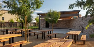 Homecoming at The Resort Apartments Gallery 40