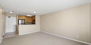 3520 Lebon Dr Gallery 1