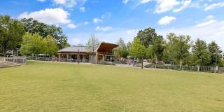 303 Cary Pines Drive Gallery 29