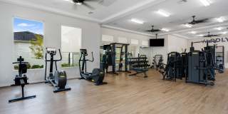 Yardly Elm Gallery 29