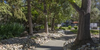 Birch Creek Gallery 28