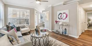 The Saxony Apartments The Saxony Apartments Gallery 19