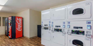 Atlanta - Marietta - Windy Hill Gallery 17