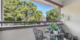 Upstairs Bright 2 bedroom Condo Gallery 4