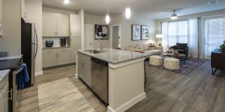 Braxton at Tamarron Gallery 10