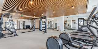 Aura Arts District Gallery 41